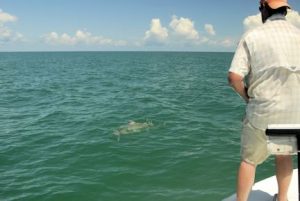 Hal Lutz, from Parrish, FL, fights a tarpon that he caught and released on a fly in the coastal gulf in Sarasota while fishing with Capt. Rick Grassett.